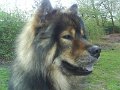 filou 21 (7)